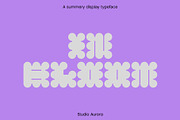 In Bloom - Summer Display Font, a Sans Serif Font by Studio Aurora (Thumbnail 1 of 9)