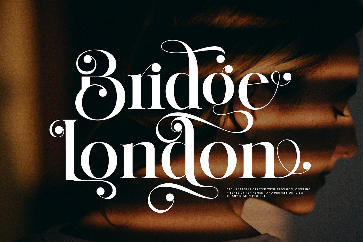Qid Bronste Elegant Serif, a Serif Font by Perfectype (Photo 9 of 9)
