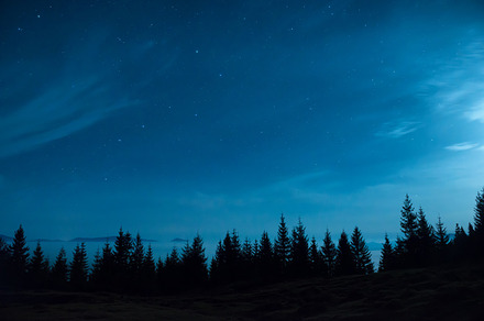 Forest of pine trees under moon containing stars, sky, and night, a Nature Photo by Vapi