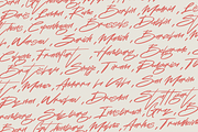 Lauragene | Freestyle Script Font, a Handwritten Font by Ardana Creative (Thumbnail 10 of 12)