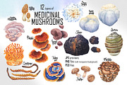 Watercolor Medicinal Mushrooms, a Healthcare Illustration by Ekaterina Glazkova (Thumbnail 2 of 9)