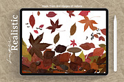 Autumn Magic for Procreate, a Brush Add-On by AJ Brushes (Thumbnail 2 of 10)