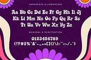 Bloom Gum – A Modern Groovy Font, a Serif Font by overlaytemplates (Thumbnail 4 of 5)