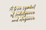 Wystine Esphelta Modern Brush Font, a Script Font by Letterena Studios Script (Thumbnail 4 of 20)