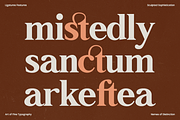 GC Neue Benfica – Classic Serif, a Sans Serif Font by Glyphonic (Thumbnail 8 of 15)