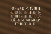 Holand Elegant Serif Font, a Serif Font by Perfectype (Thumbnail 8 of 8)