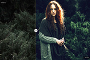 Into the Jungle Photoshop Actions preview 5