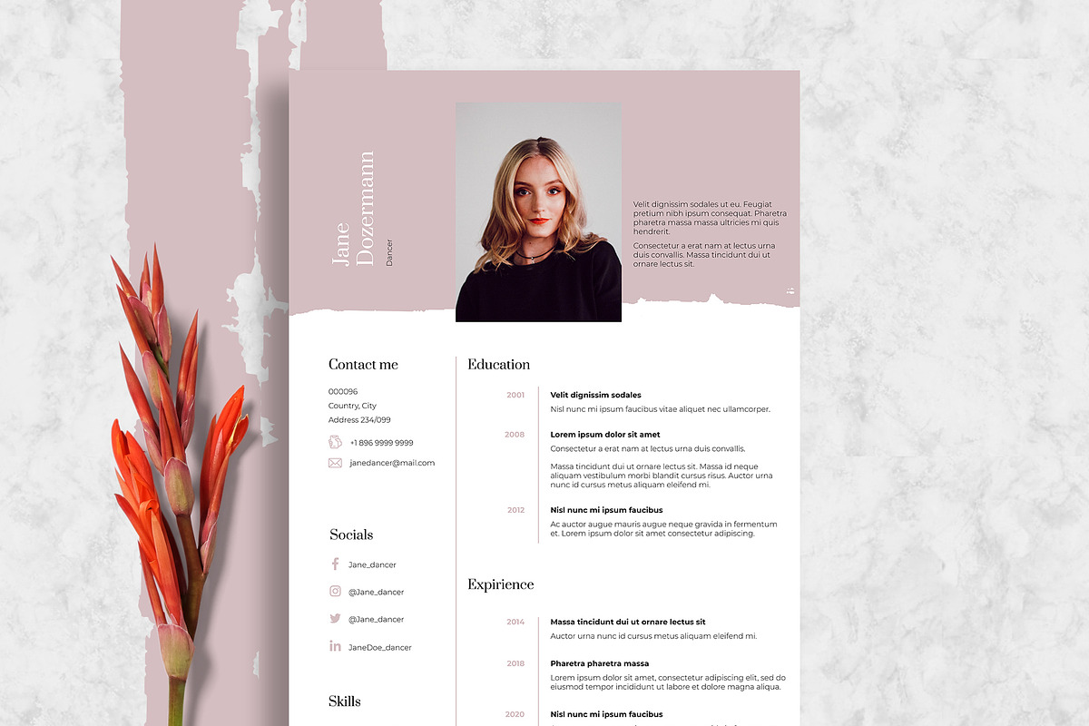 6 InDesign Resume Templates, a Resume Template by Halfcircle (Photo 6 of 6)