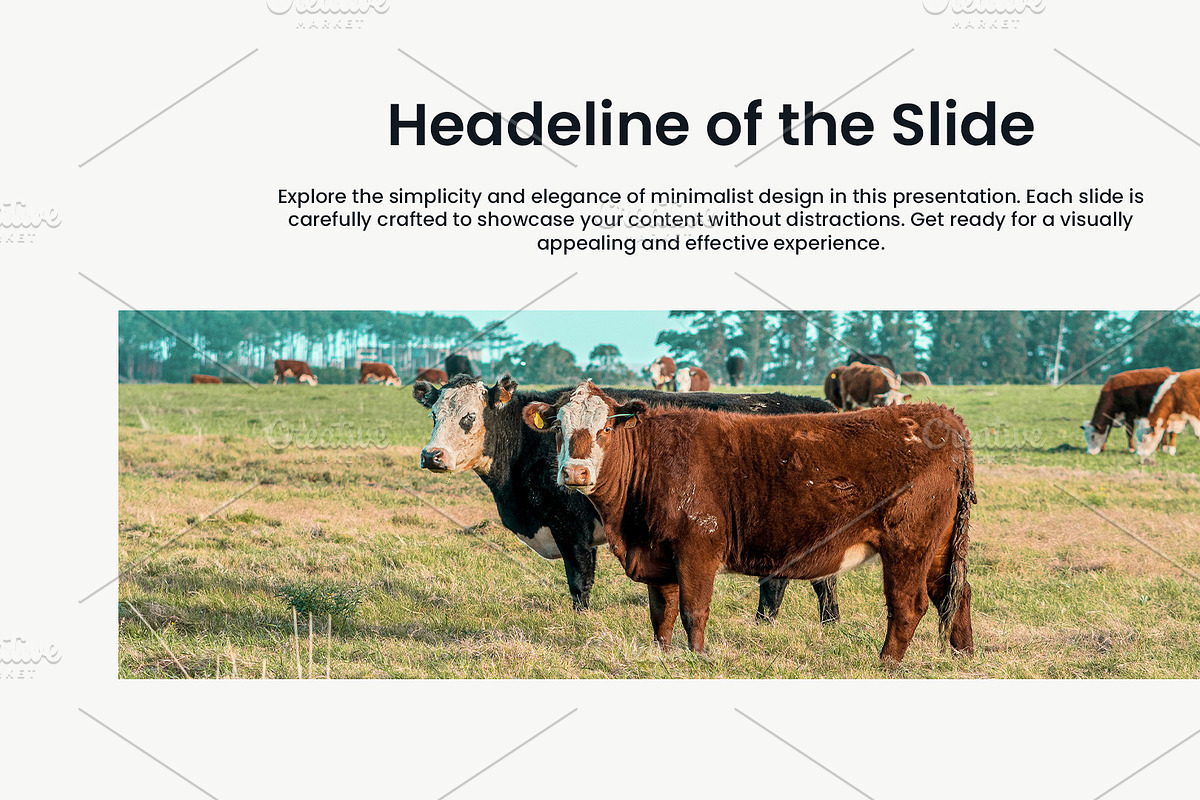 Slide Deck Collection – Photoshop Pr, a Presentation Template by Elite Mockups (Photo 5 of 11)