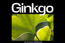 Ginkgo - Unique Sans Serif