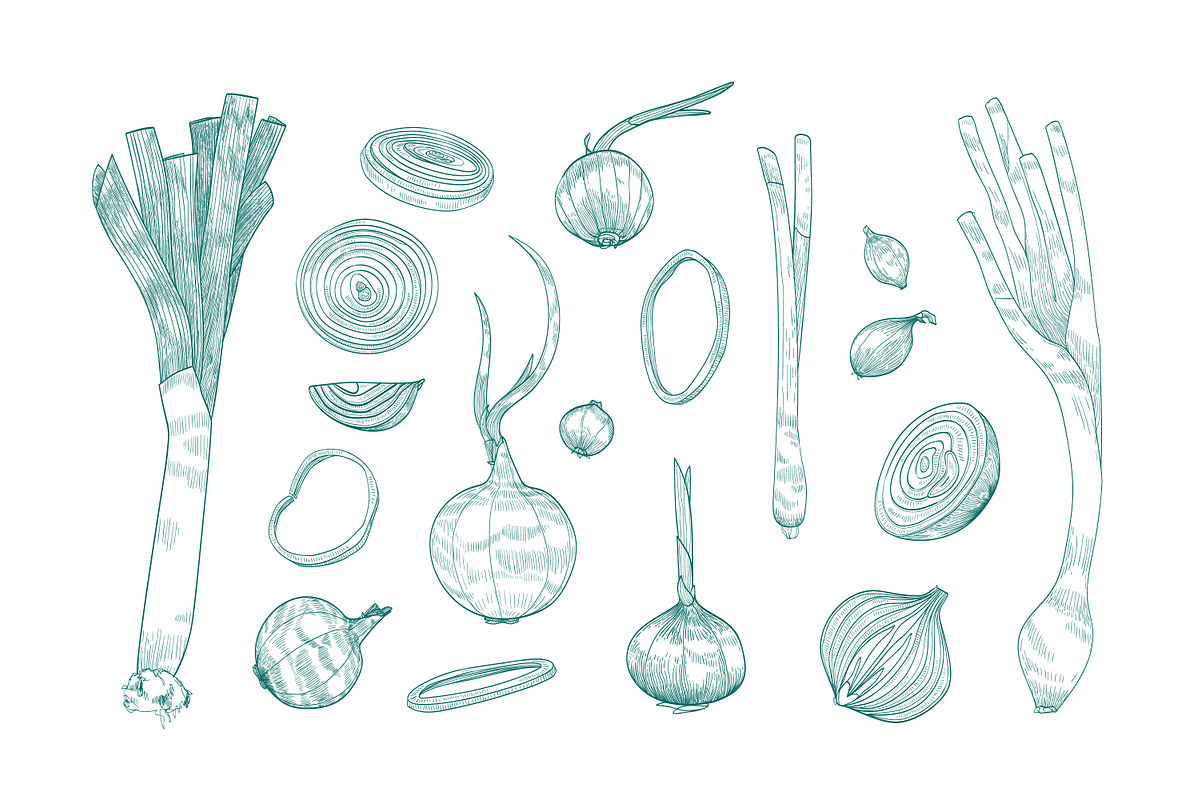 Onion set and seamless pattern, a Food Illustration by Good Studio (Photo 3 of 7)