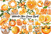 Watercolor Citrus Orange Clipart PNG, an Illustration by Libby Wishes (Thumbnail 1 of 5)