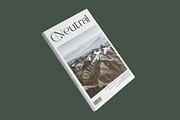 Raslera Modern Serif Display, a Sans Serif Font by timelesstype.co (Thumbnail 17 of 20)