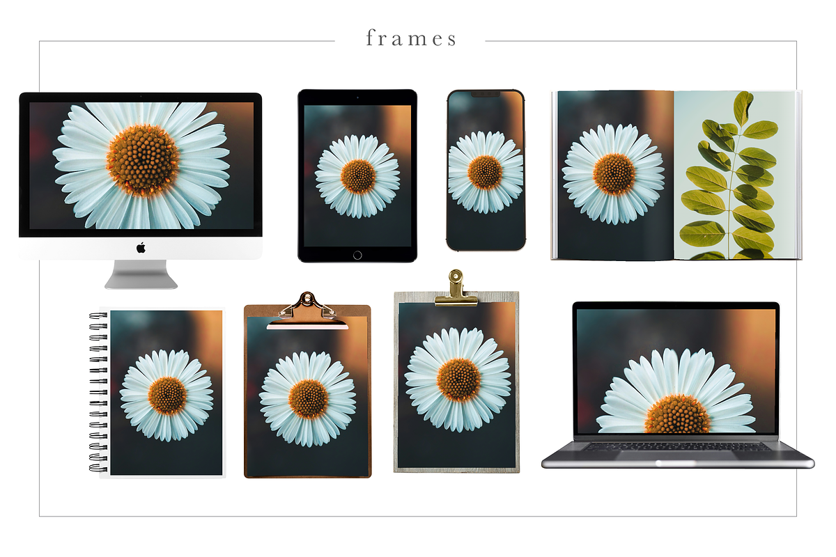Canva Digital Product Mockups, a Marketing Template by Marigold Studios (Photo 8 of 11)