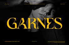 Garnes Unique Serif Font