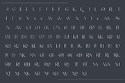 Schoonheid - Thick and Thin Font, a Font by Intuisi Creative (Thumbnail 9 of 10)