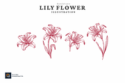 Vintage Hand Drawn Lily Flower, an Object Illustration by putra_purwanto (Thumbnail 2 of 3)
