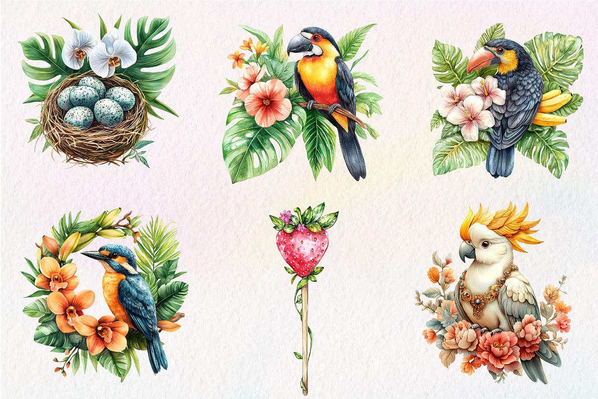 Tropical Bird Png, Jungle Bird Clipa, an Illustration by CreationArt (Photo 2 of 9)