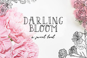 Darling Bloom Font, a Serif Font by Salt & Pepper Designs (Thumbnail 1 of 7)