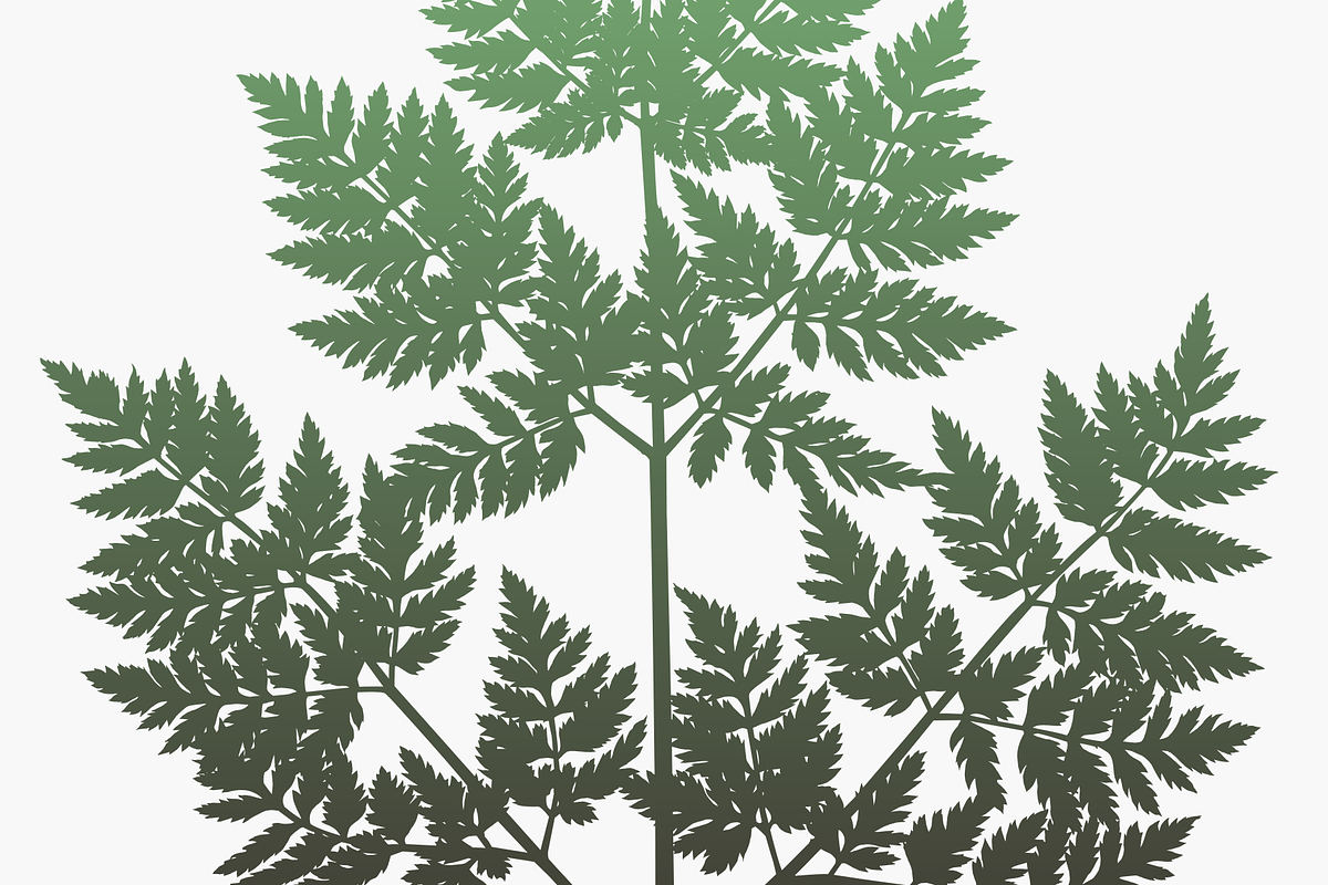Herbarium: Set 1, a Decorative Illustration by Texture Fabrik (Photo 11 of 19)