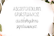 Amidala Script Font, a Script Font by Creativetacos (Thumbnail 2 of 5)