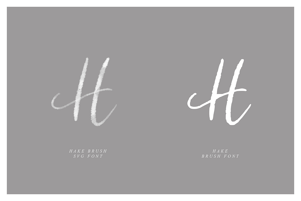 Hake Brush SVG Script preview 4