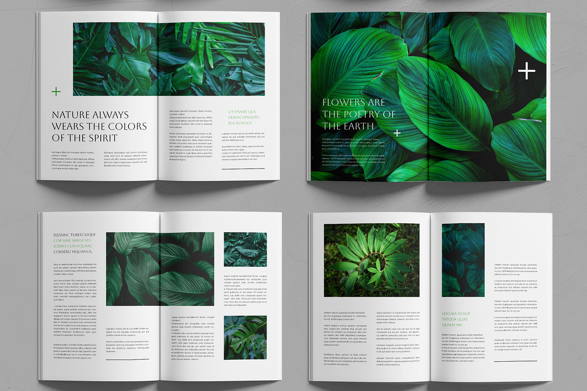 Magazine Layout, a Magazine Template by MightyDesign (Photo 2 of 6)