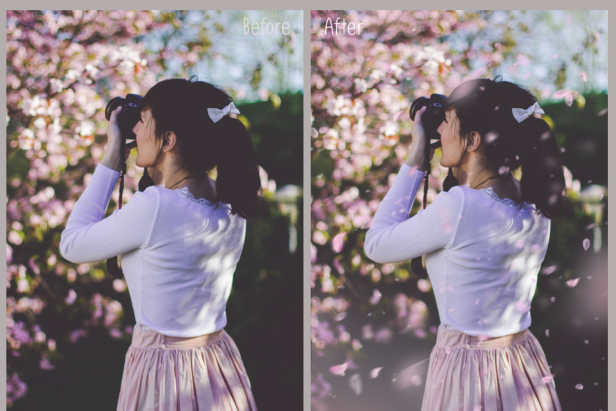 White and Pink Petals Overlays preview 4