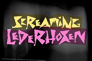Shock Value - An Expressionist Font, a Font by Wingsart Studio (Thumbnail 13 of 13)