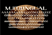 OLIEVA - bonus poster, a Font by Bagerich Type Foundry (Thumbnail 12 of 15)