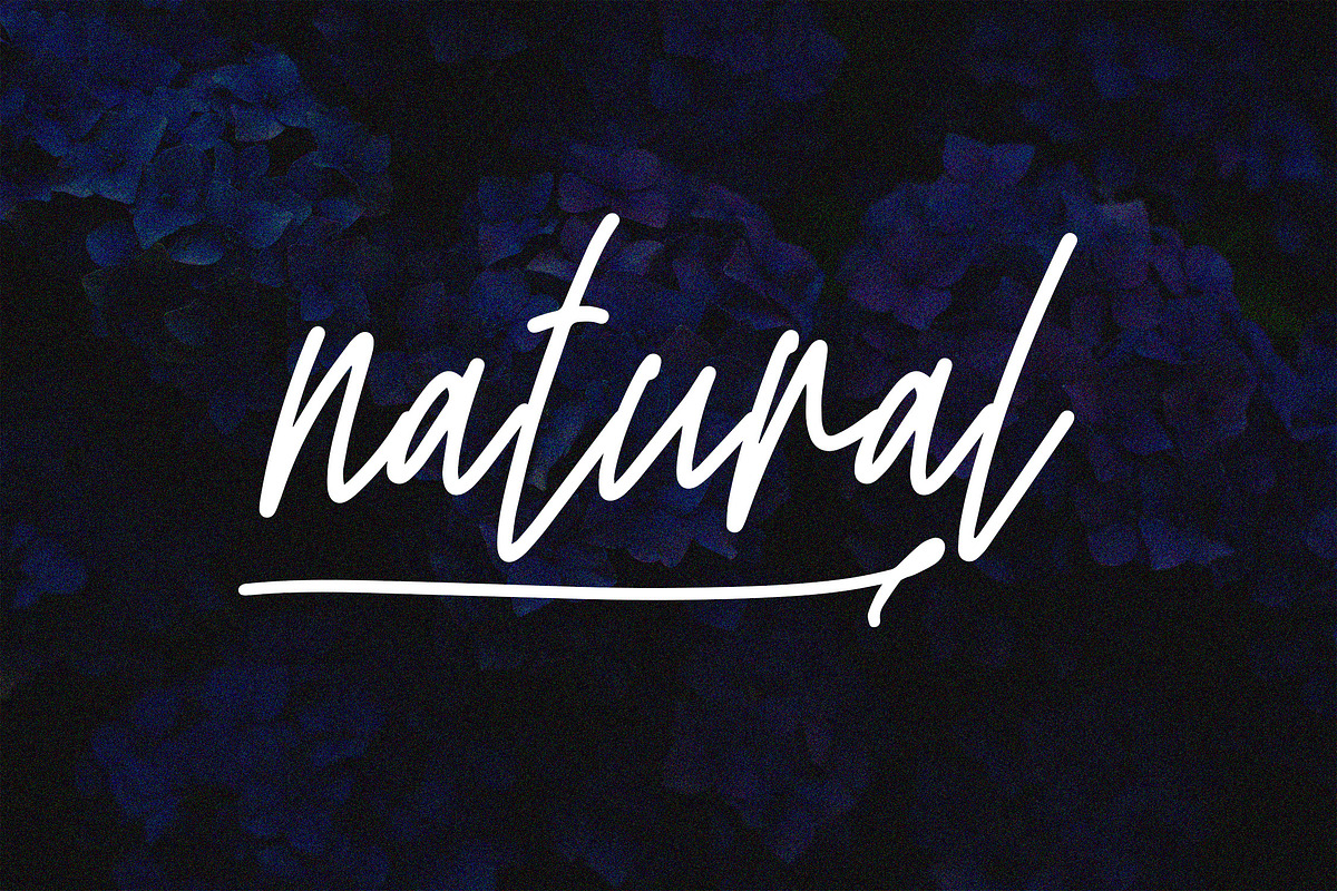 Thriphika Script Handwritten Font, a Script Font by NTC Graphic (Photo 4 of 8)