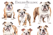 English Bulldog, an Animal Illustration by TheCuteShop (Thumbnail 2 of 3)