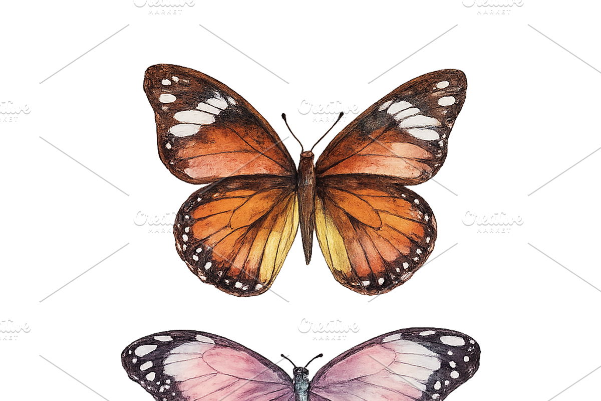 Watercolor Butterflies, a Decorative Illustration by Karliefie (Photo 5 of 5)