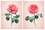 Red roses illustrations and patterns, a Texture Illustration by Sundra (Thumbnail 10 of 11)