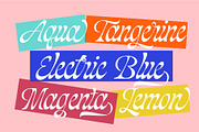 Blackshiny, a Script Font by ManType (Thumbnail 5 of 7)