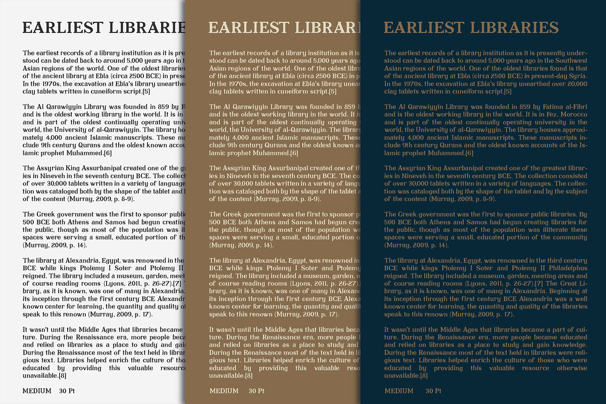 Librarium - Serif Font Family preview 6
