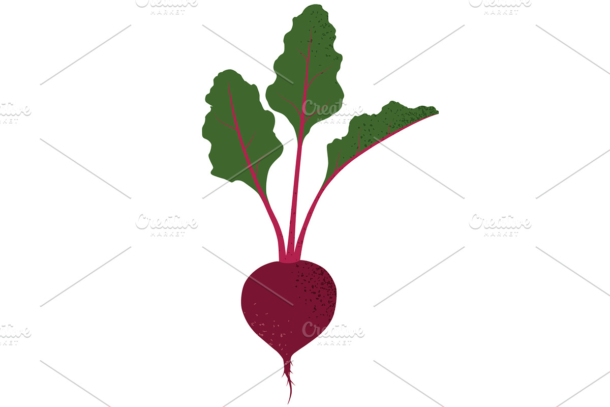 Vegetable garden. Vector., a Food Illustration by Paper Cards (Photo 4 of 5)