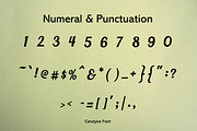 Cendyne Modern Handwritten Font, a Handwritten Font by ResumeFabs (Thumbnail 3 of 7)