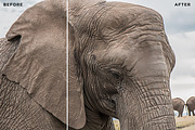 Photo Painter Photoshop Actions 1, an Action Add-On by Design Panoply (Thumbnail 6 of 7)