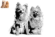 Animal Photo to Tracing, an Action Add-On by MRI STUDIO (Thumbnail 8 of 10)