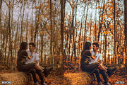 FALL PRESETS for Autumn Photos, a Preset Add-On by AAA Presets (Thumbnail 15 of 22)