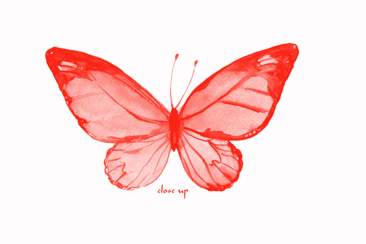 Photoshop Brush Watercolor Butterfly preview 6
