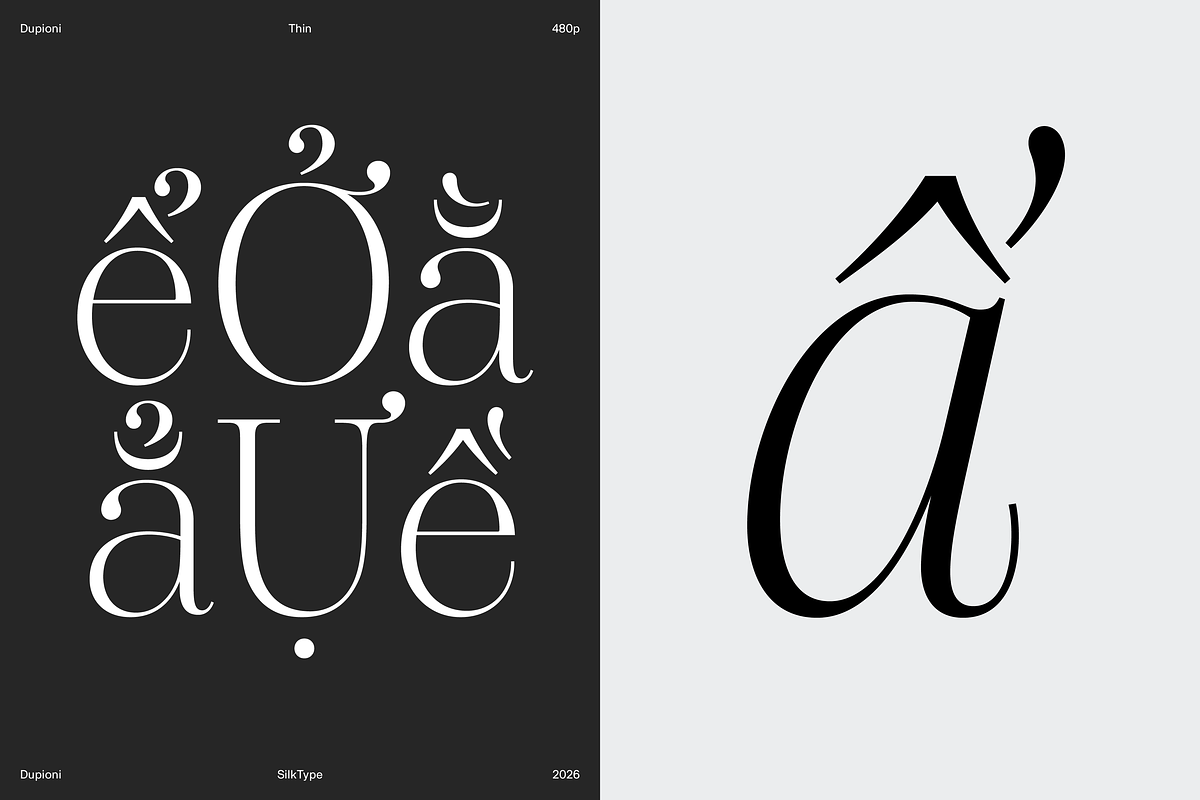 Dupioni Thin - Ligature Serif, a Serif Font by Silktype (Photo 17 of 20)