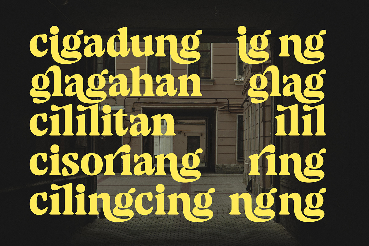 Volkgen Bold Modern Display Serif, a Serif Font by timelesstype.co (Photo 10 of 15)