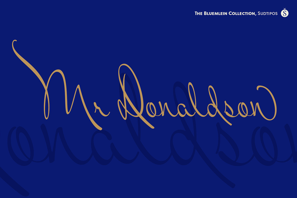Mr Donaldson Pro