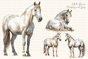 Watercolor Grey Horses & Landscapes, an Animal Illustration by Dazzling Art Boutique (Thumbnail 4 of 11)