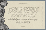 Something Else Textured Script, a Script Font by AnMark (Thumbnail 4 of 10)