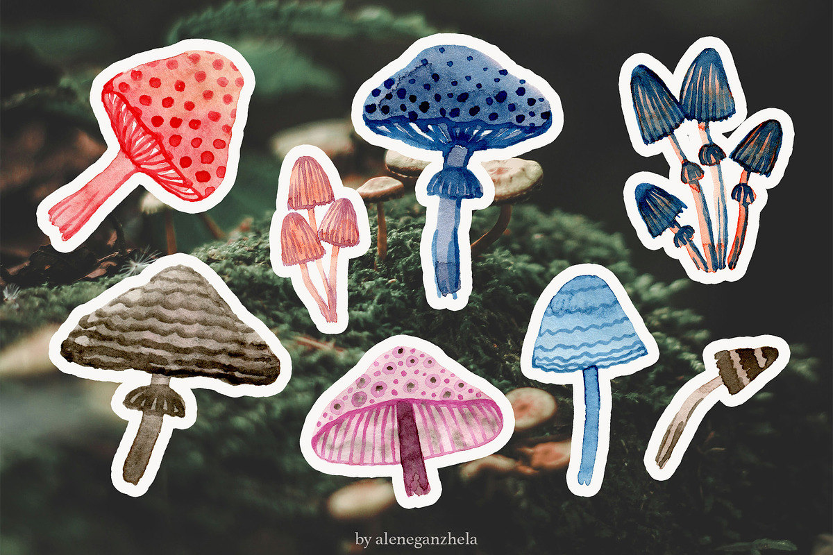 Wonderland watercolor mushrooms, a Decorative Illustration by alenaganzhela (Photo 2 of 9)