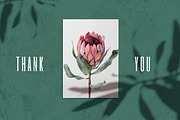 Protea floral watercolor clipart png, a Decorative Illustration by Artcard Watercolor (Thumbnail 7 of 7)