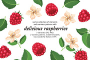 Delicious raspberries vector set, a Graphic by natamastery (Thumbnail 1 of 8)